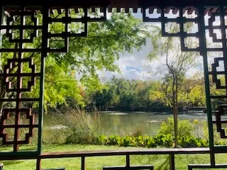 A riverside view of green trees and water framed by a decorative lattice at a Napa Valley tasting